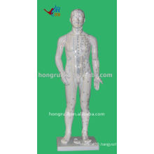 Human Acupuncture Model 70cm with 361 points,Acupuncture Human Model